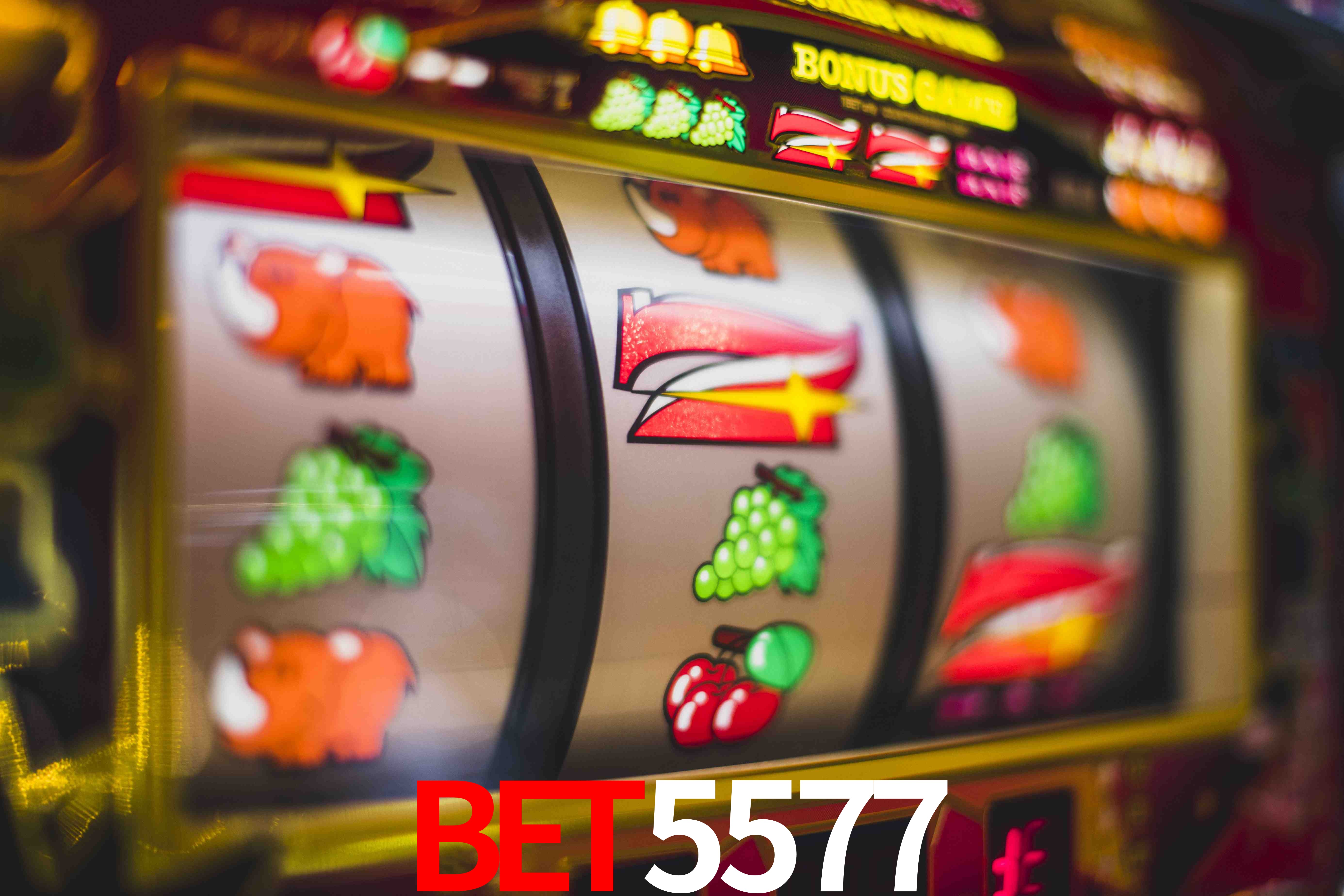 Sports Statistics BET5577